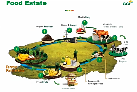 6-Food Estate